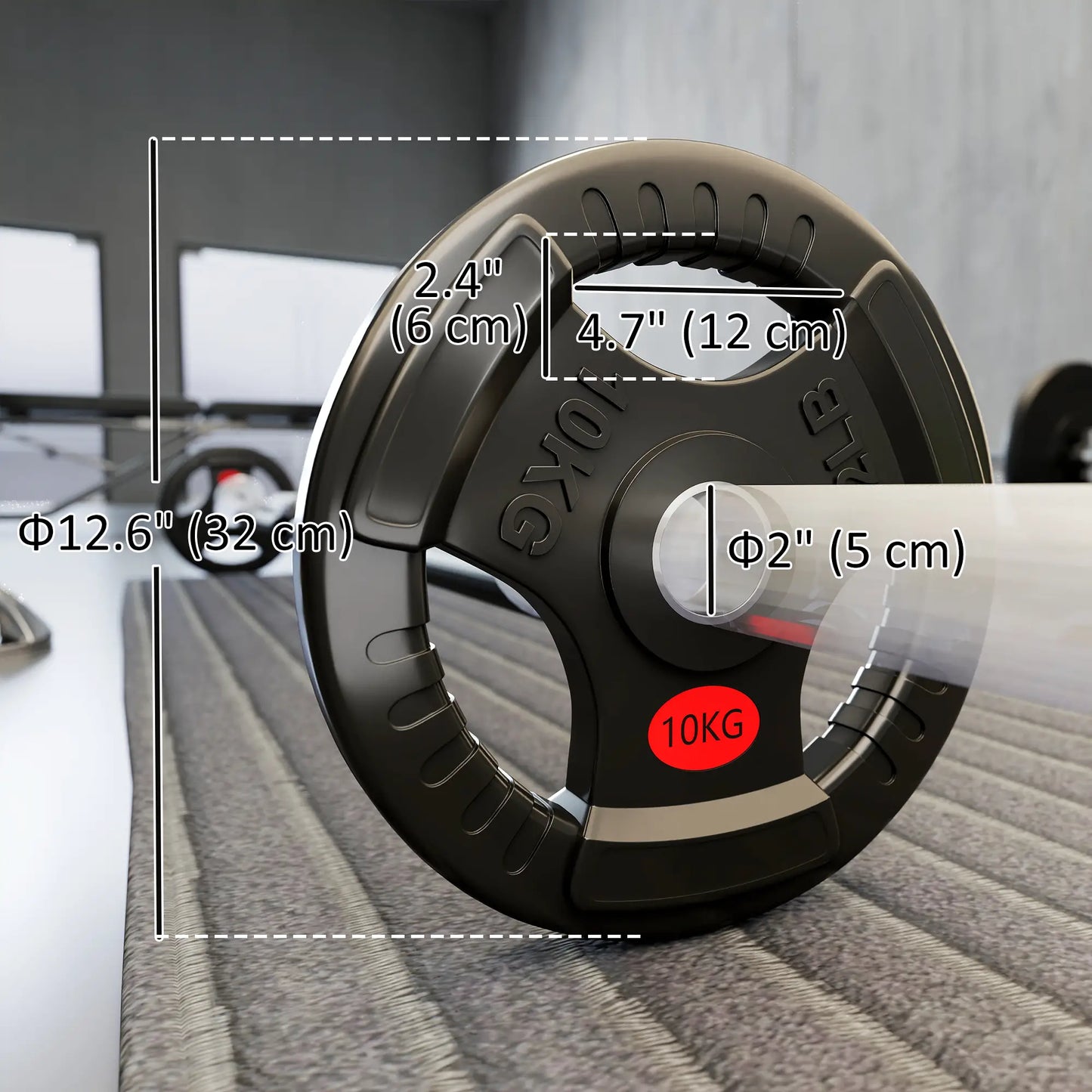 Weight Plates Set, 2-Inch Barbell Weights, Tri-Grips, 2 x 22lbs Dumbbells & Barbells at Gallery Canada
