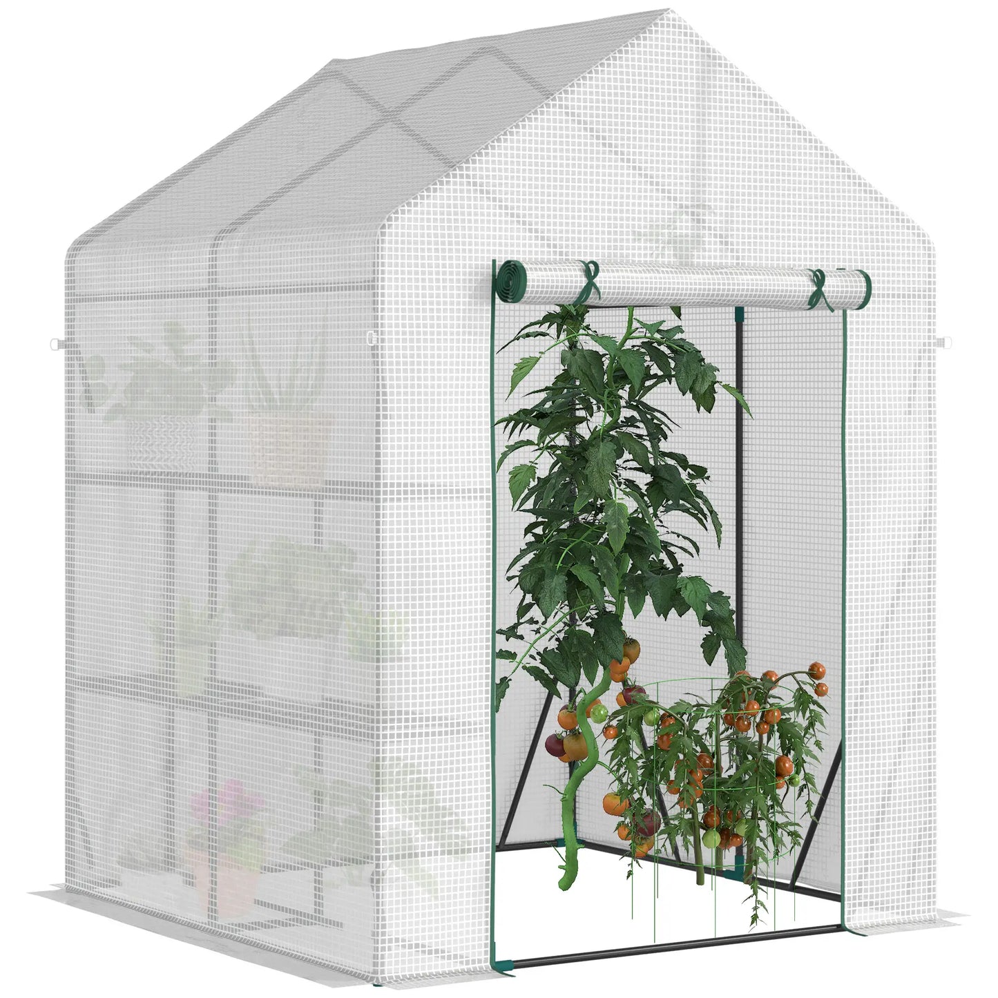56 x 56 Walk-In Greenhouse, Portable Gardening Plant House, 2-Tier Shelf, Green Greenhouses at Gallery Canada