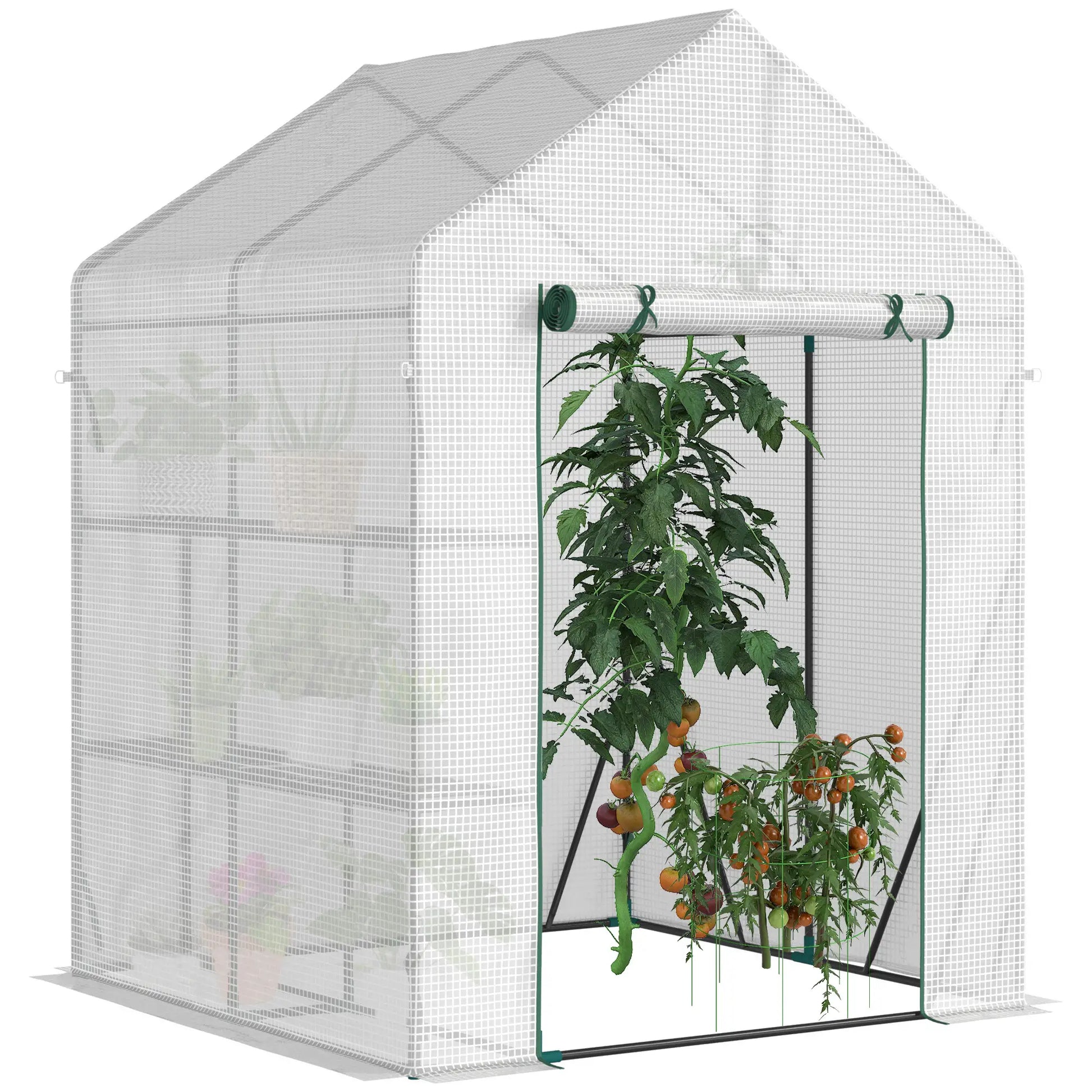 56 x 56 Walk-In Greenhouse, Portable Gardening Plant House, 2-Tier Shelf, Green Greenhouses at Gallery Canada