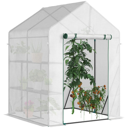 56 x 56 Walk-In Greenhouse, Portable Gardening Plant House, 2-Tier Shelf, Green Greenhouses at Gallery Canada