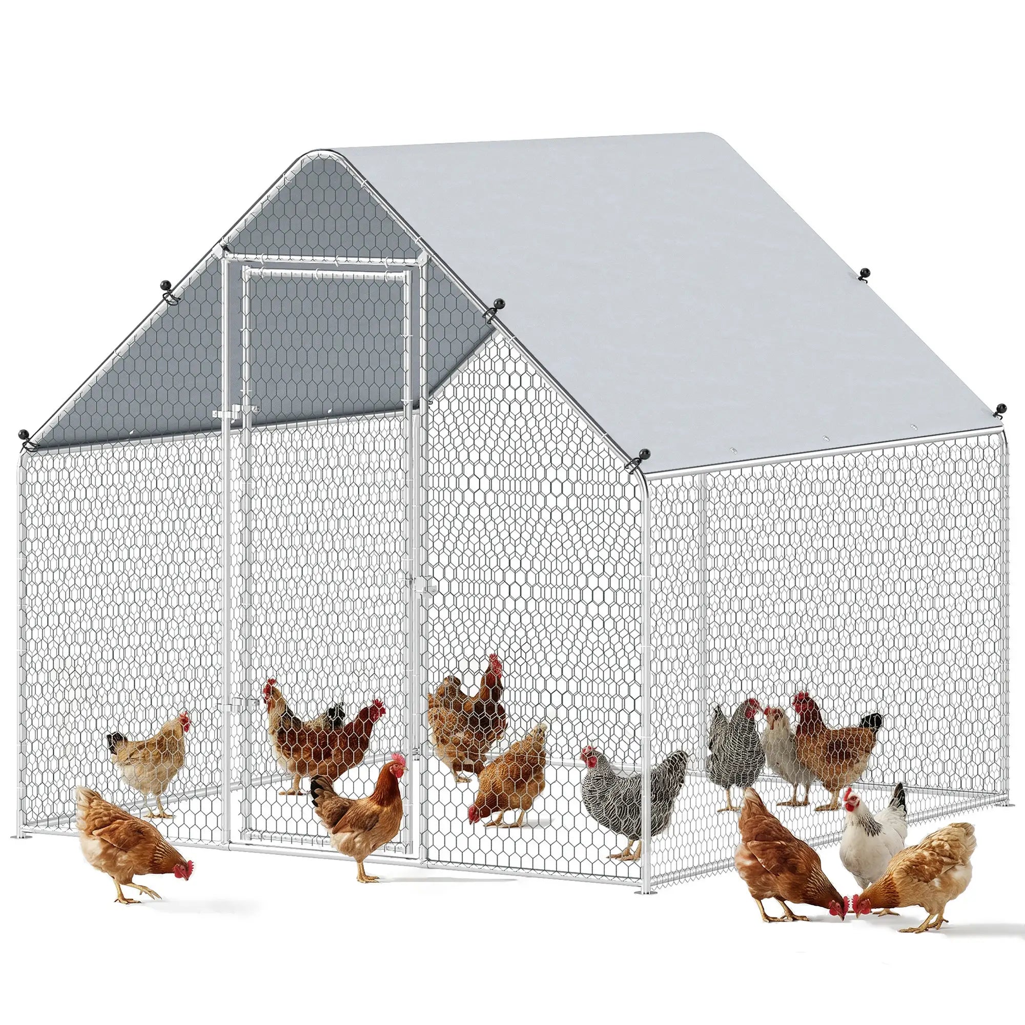 Metal Chicken Coop With Cover, 6.6' x 6.6' x 6.6' Chicken Coops at Gallery Canada