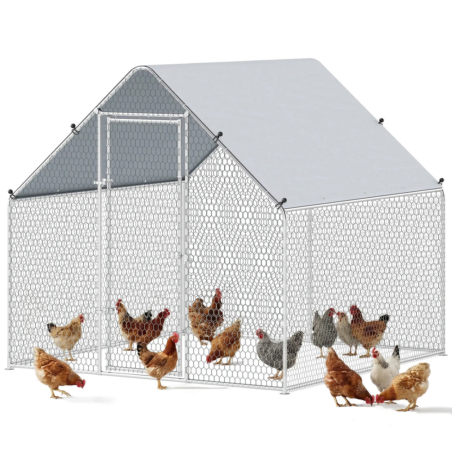 Metal Chicken Coop With Cover, 6.6' x 6.6' x 6.6' Chicken Coops at Gallery Canada