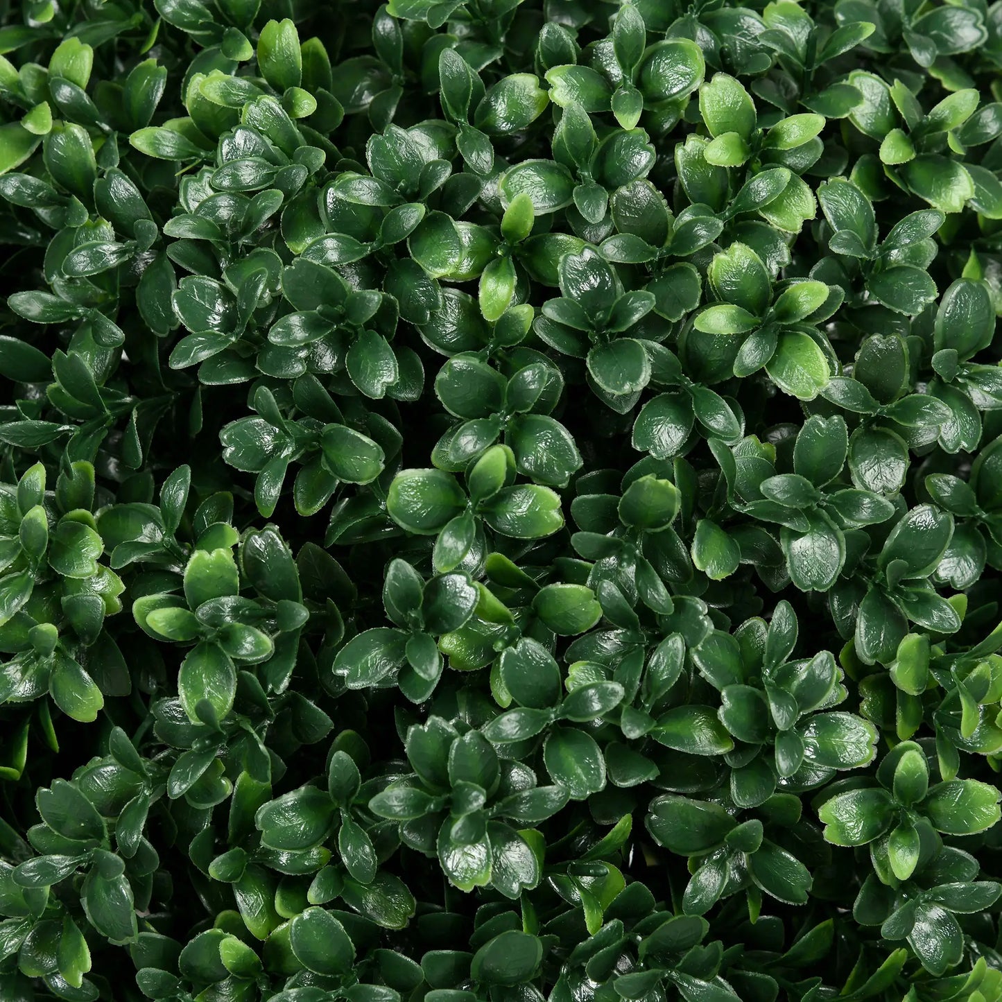 Artificial Boxwood Trees, Set of 2 Ball Topiary, UV Resistant Artificial Trees at Gallery Canada