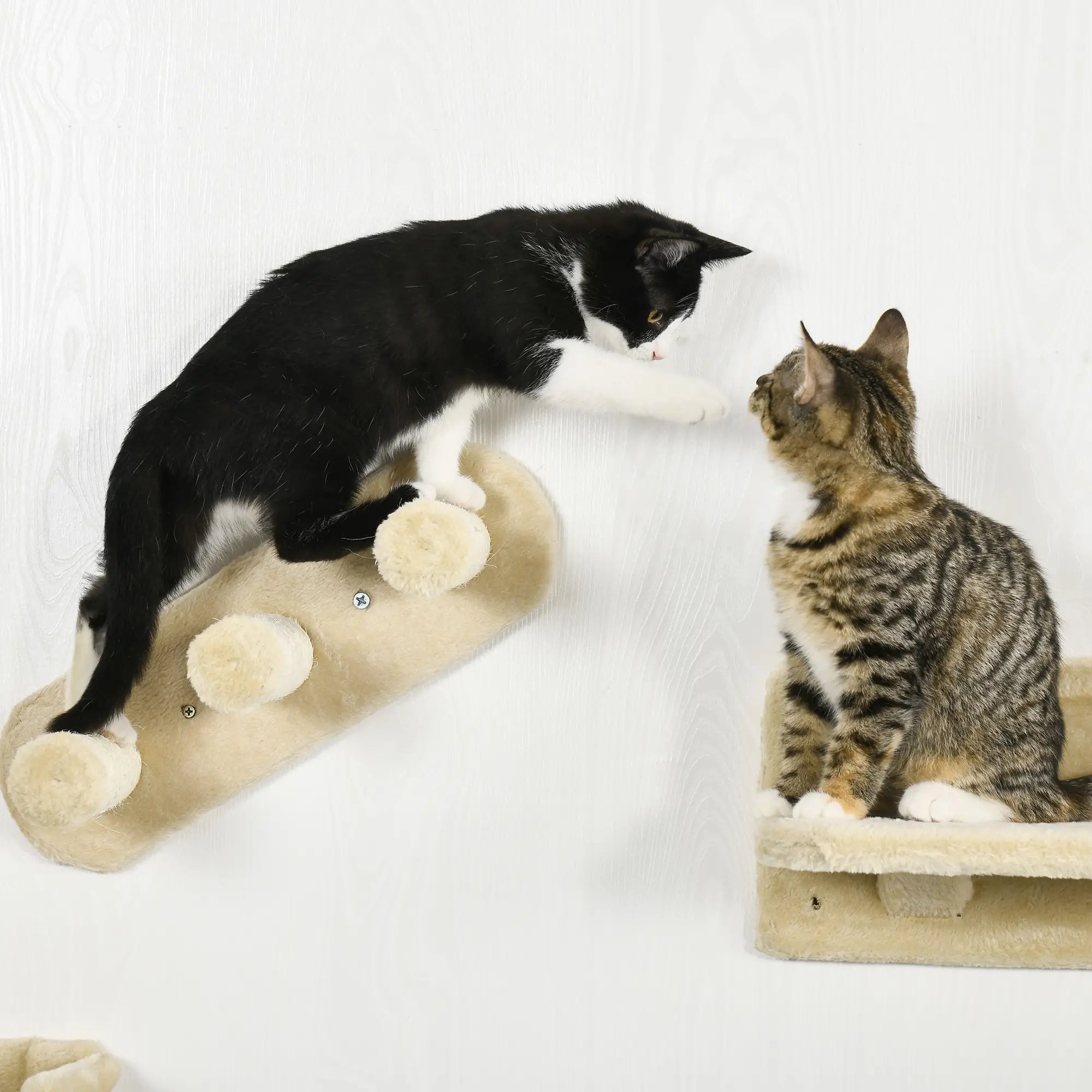 Cat Wall Shelves, 3PCs with Hammock, Scratching Post, Beige Cat Climbing Wall at Gallery Canada