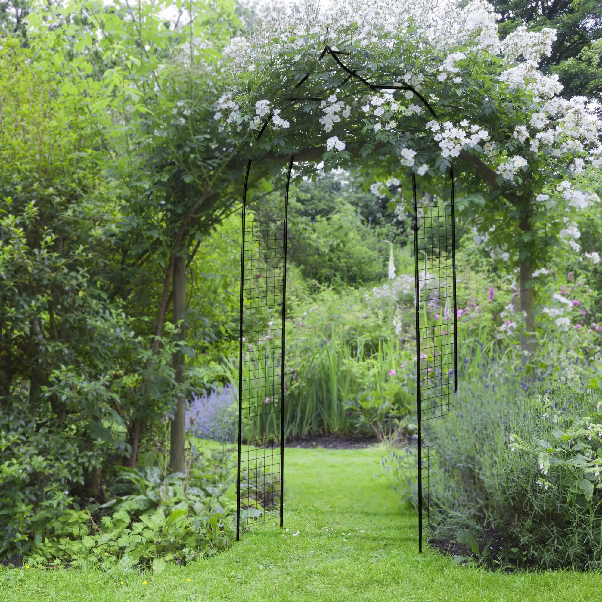 8FT Metal Garden Arch, Decorative Arbor Trellis for Plants, Black Garden Arches at Gallery Canada