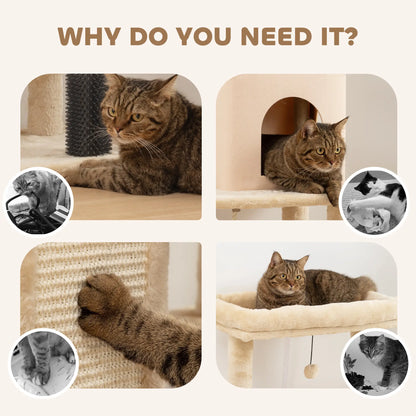 52 Inch Cat Tree with Scratching Posts, Bed, Condo, Grooming Brush Cat Towers at Gallery Canada