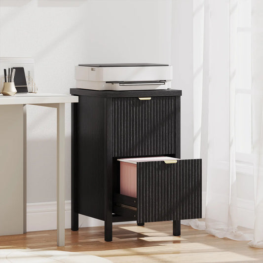 2-Drawer File Cabinet, Vertical With Silent Slides, Black Office Cabinets & Cupboards Black at Gallery Canada