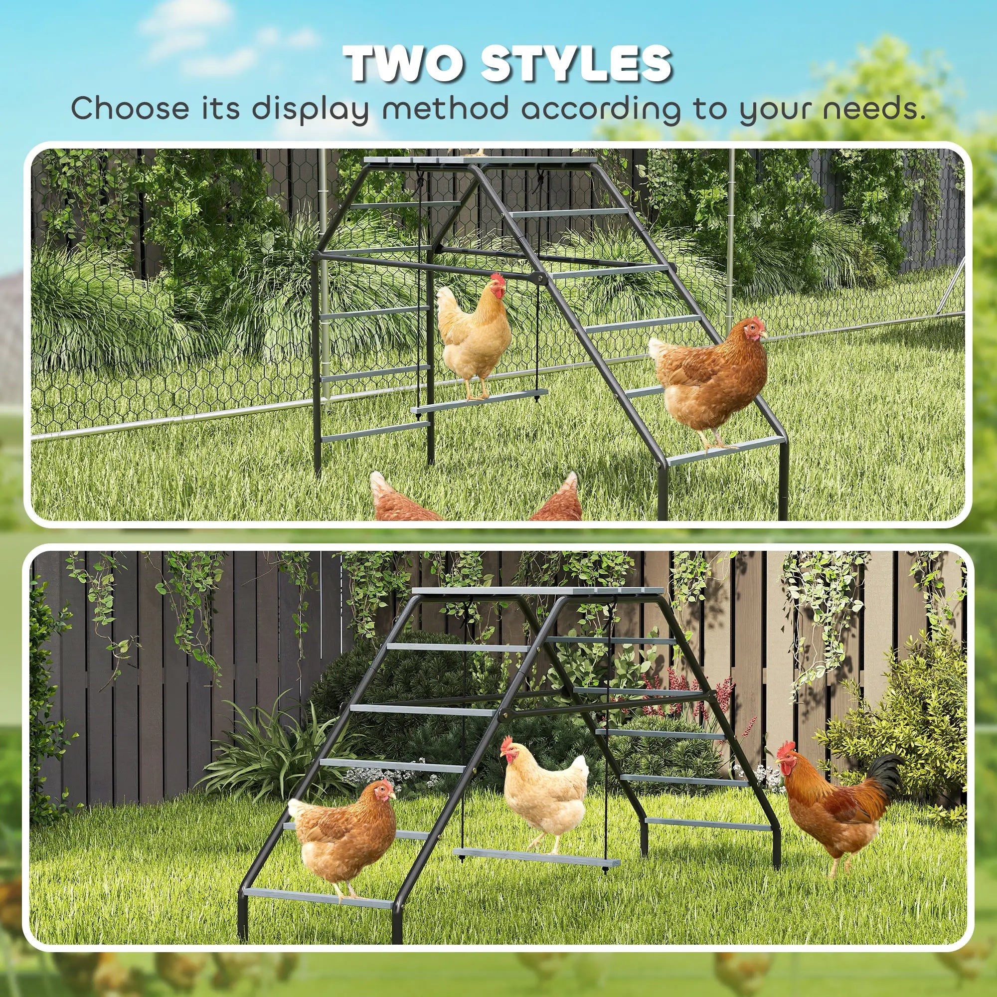 Chicken Coop Perches With Swing, Backyard Farm Accessories Chicken Coops at Gallery Canada