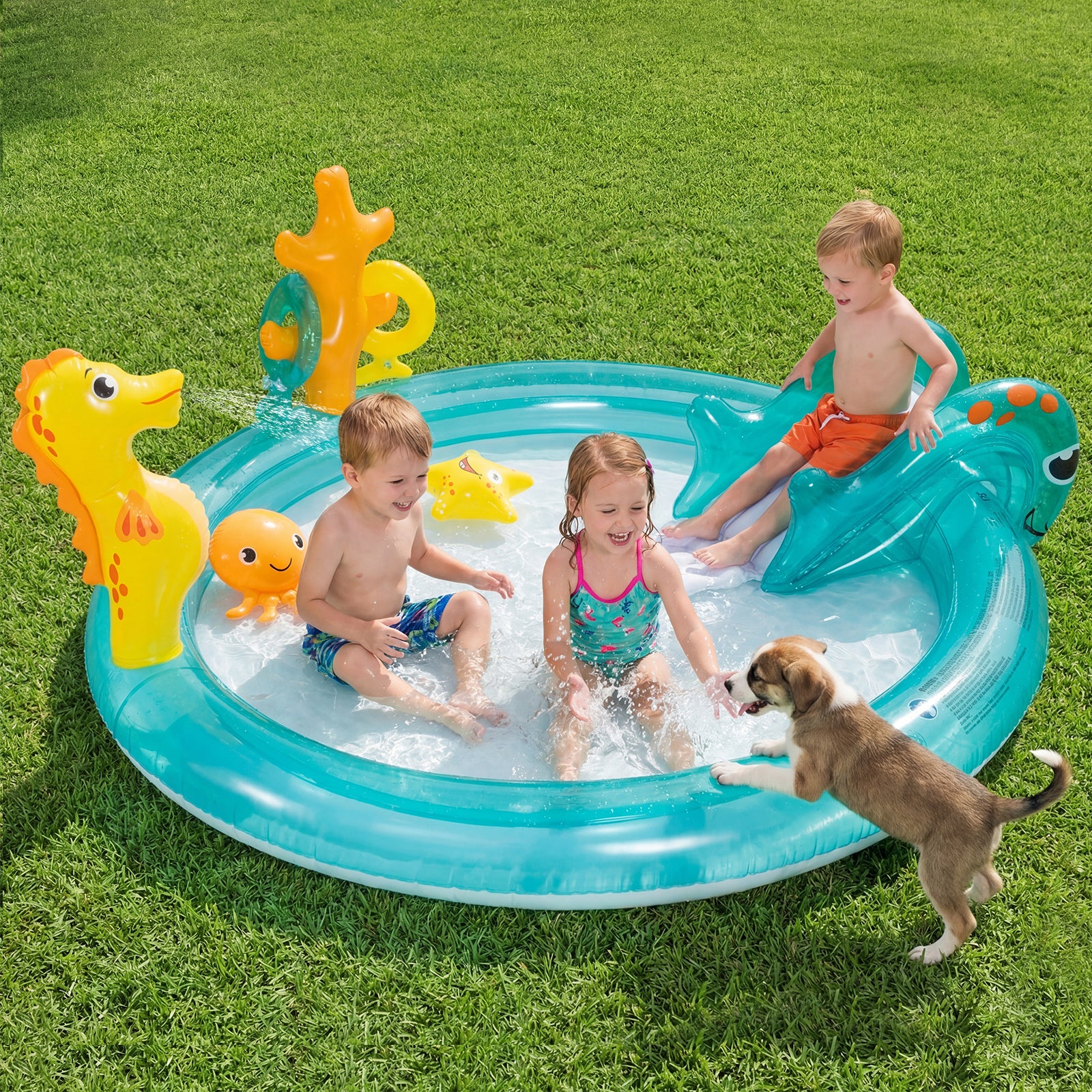 Outdoor Children Summer Water Park, Multicolor Inflatable Water Slides at Gallery Canada