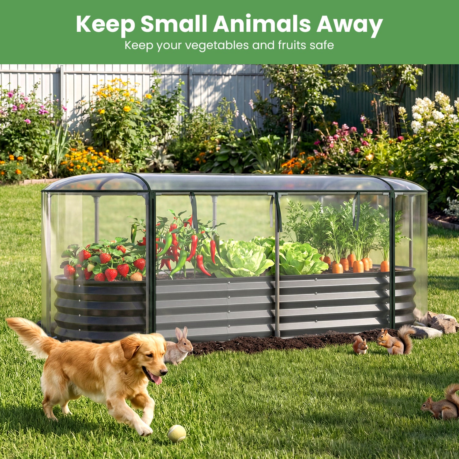 Steel Raised Garden Bed With Greenhouse Cover, Black Raised Garden Beds at Gallery Canada