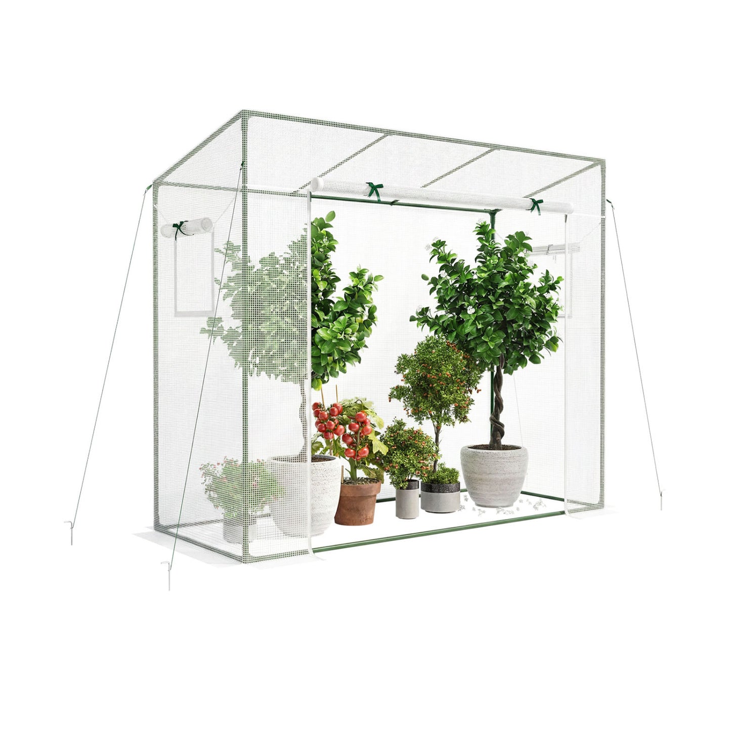 Outdoor Walk-in Greenhouse, PE Cover, Roll-up Zipper Door, White Greenhouses White at Gallery Canada