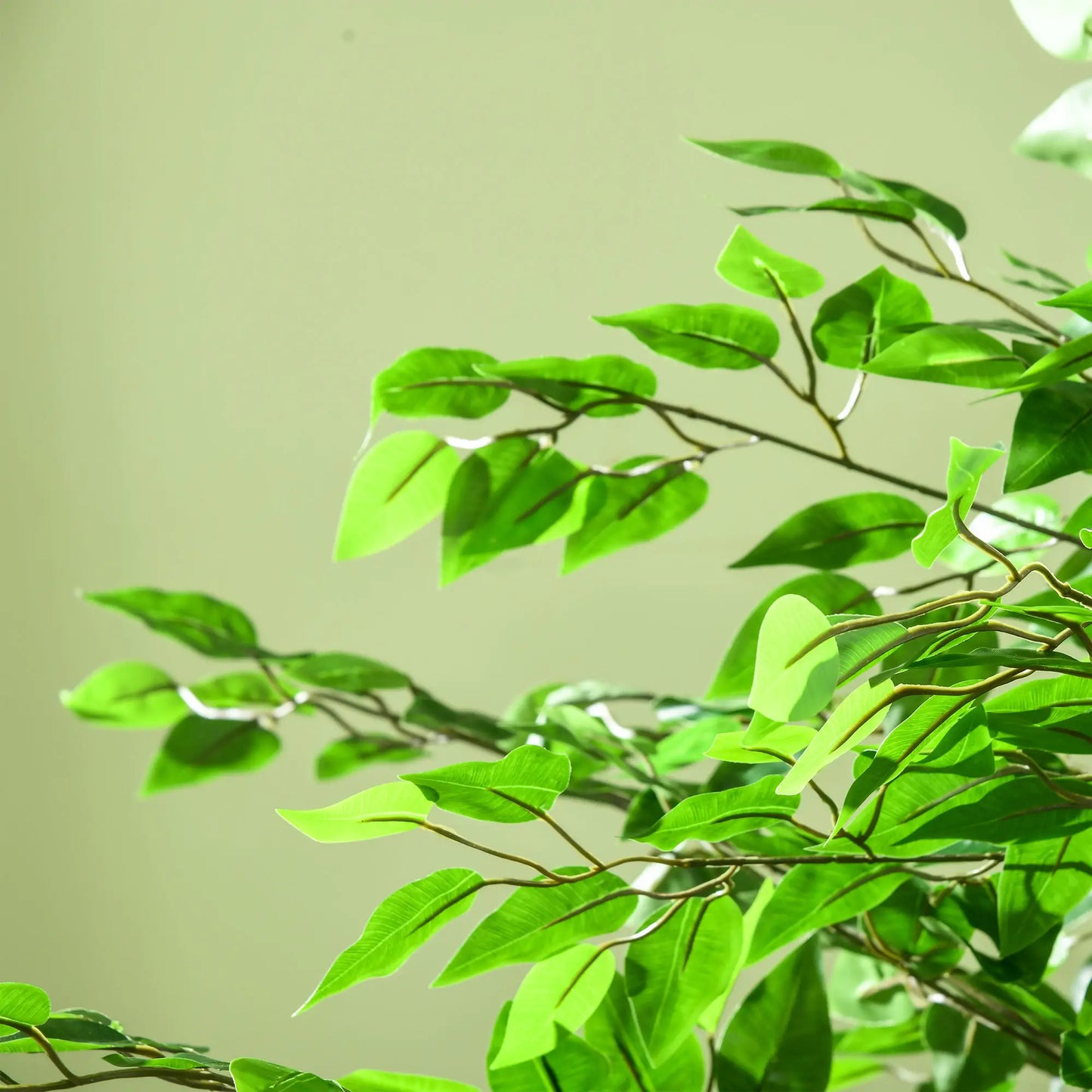6ft Artificial Ficus Tree, Indoor Fake Plant with Pot Artificial Trees at Gallery Canada
