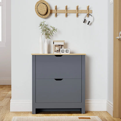 Shoe Storage Cabinet, 2 Flip Drawers, Adjustable Shelves, 12 Pairs, Dark Grey Shoe Storage Cabinets & Racks at Gallery Canada