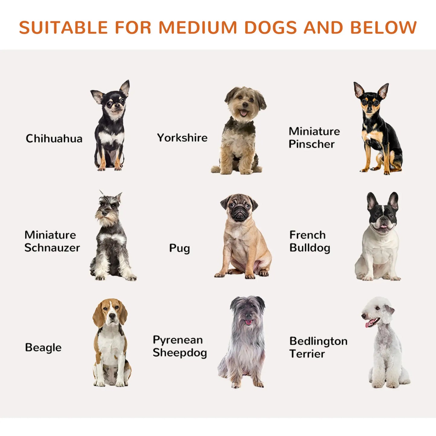 31.5"H Foldable Dog Gate with Door, 3 Panels, White Houses, Kennels & Pens at Gallery Canada