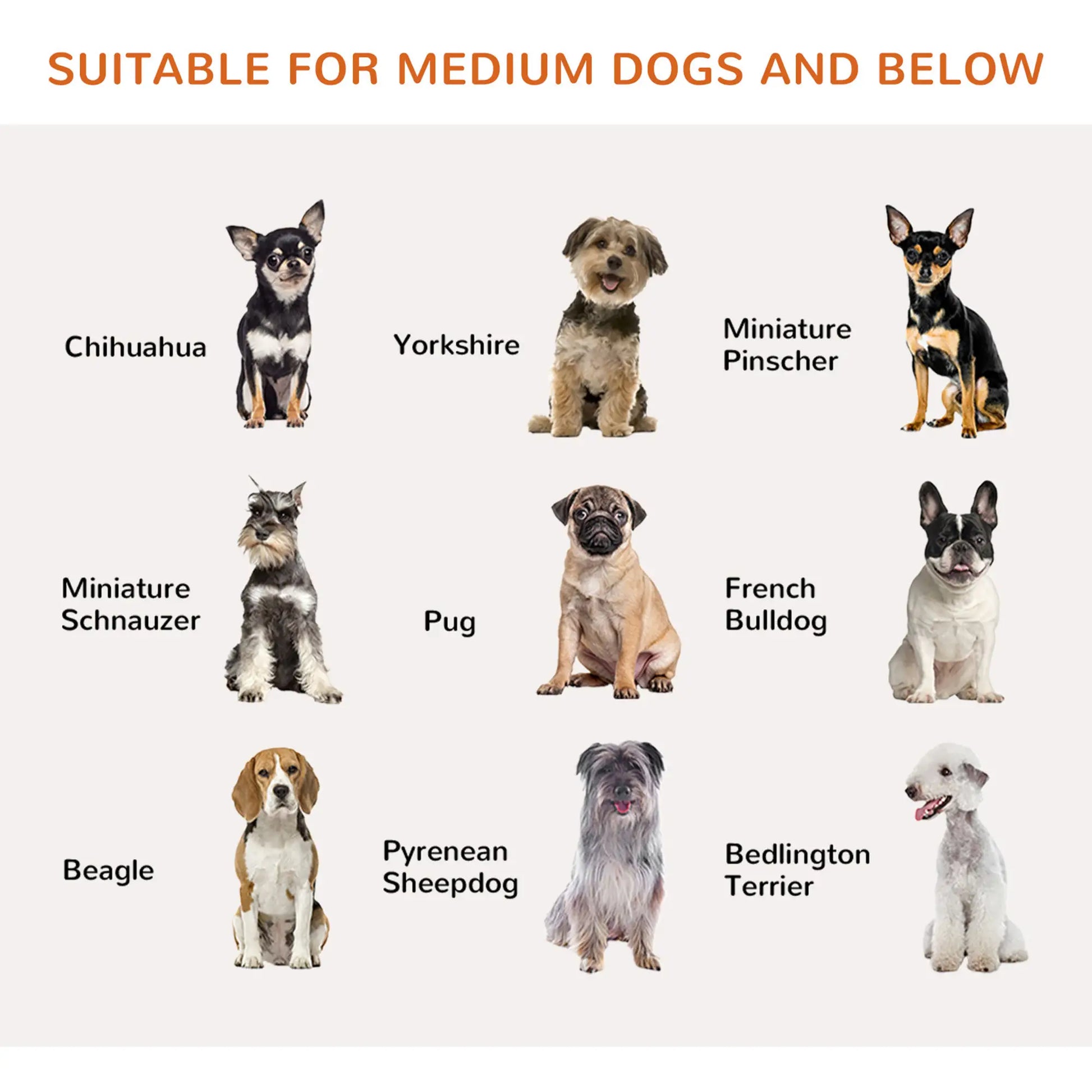 31.5"H Foldable Dog Gate with Door, 3 Panels, White Houses, Kennels & Pens at Gallery Canada