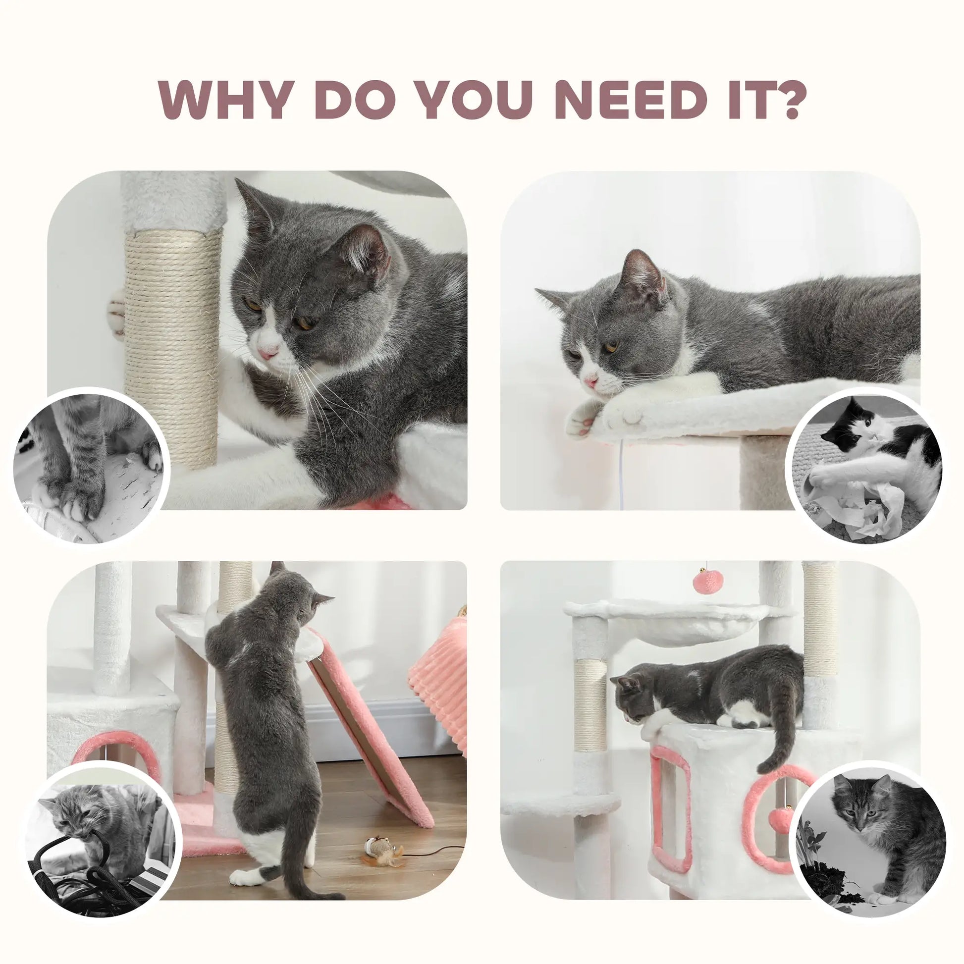 65 Inch Cat Tree, 2 Condos, Perch, Hammock, Scratching Posts, White Cat Towers at Gallery Canada