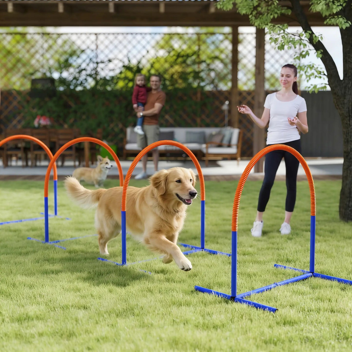 Dog Agility Training Equipment, 4 Pcs Obstacle Course, Blue Dog Agility Training Equipment at Gallery Canada