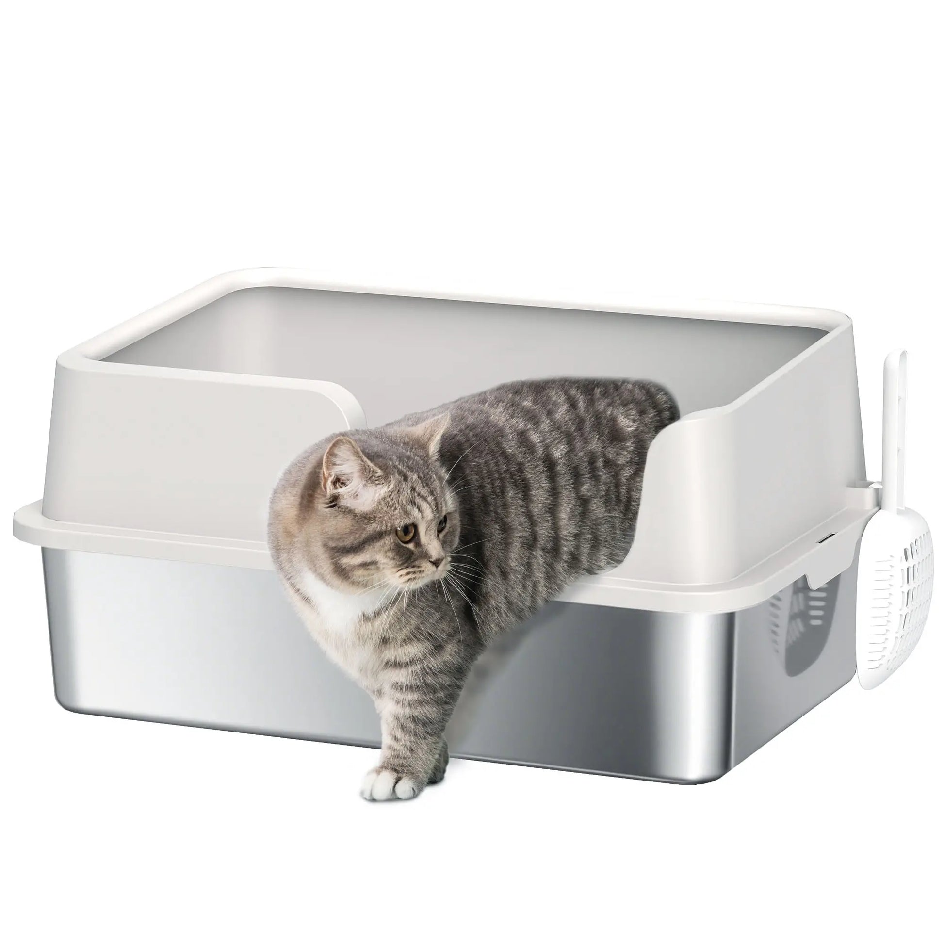 Stainless Steel Cat Litter Box with Lid, Scoop, High Sided, Non-Stick Cat Litter Box Enclosures at Gallery Canada