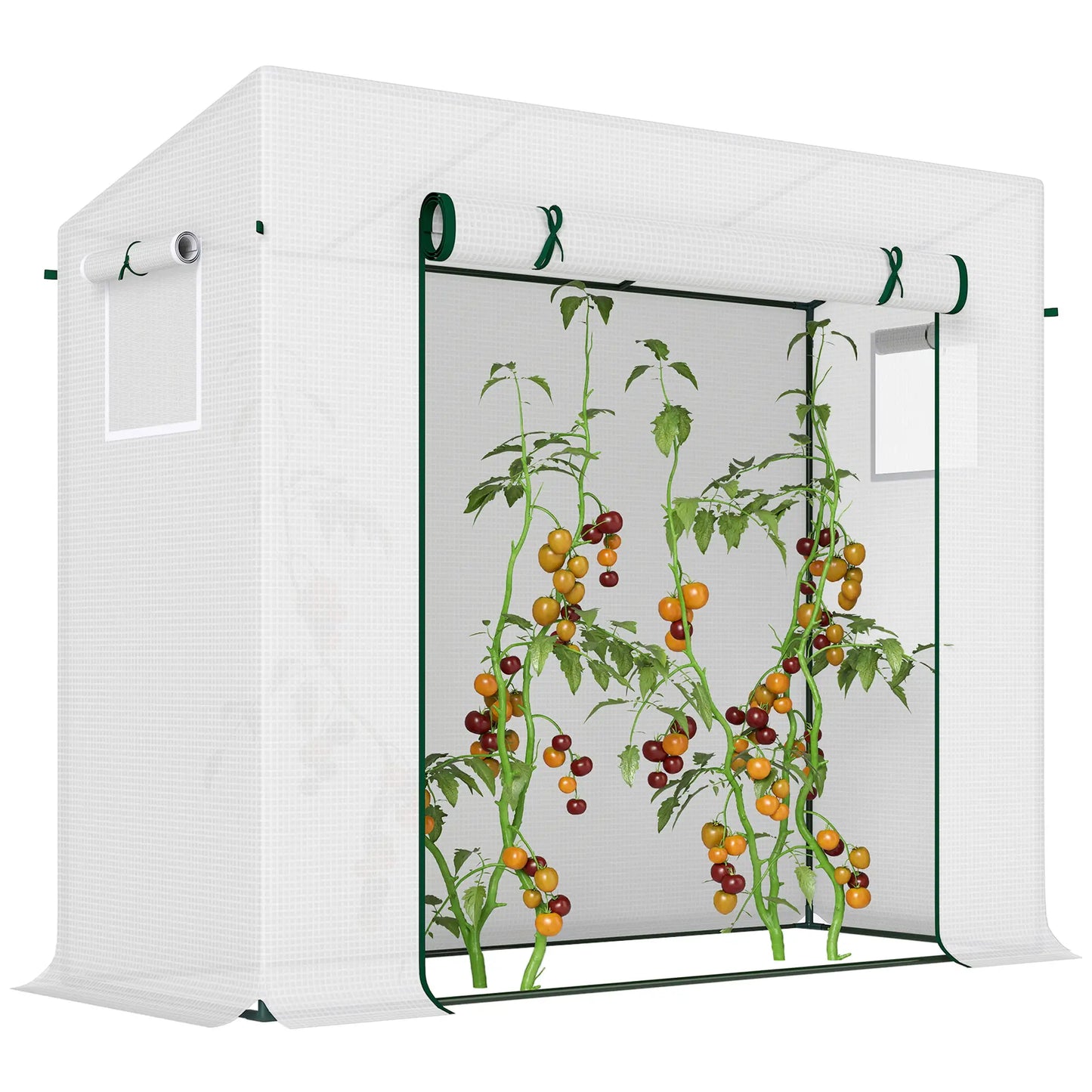 6.6' x 2.5' x 5.5' Walk-In Greenhouse, Steel Frame, White Walk In Greenhouses White at Gallery Canada