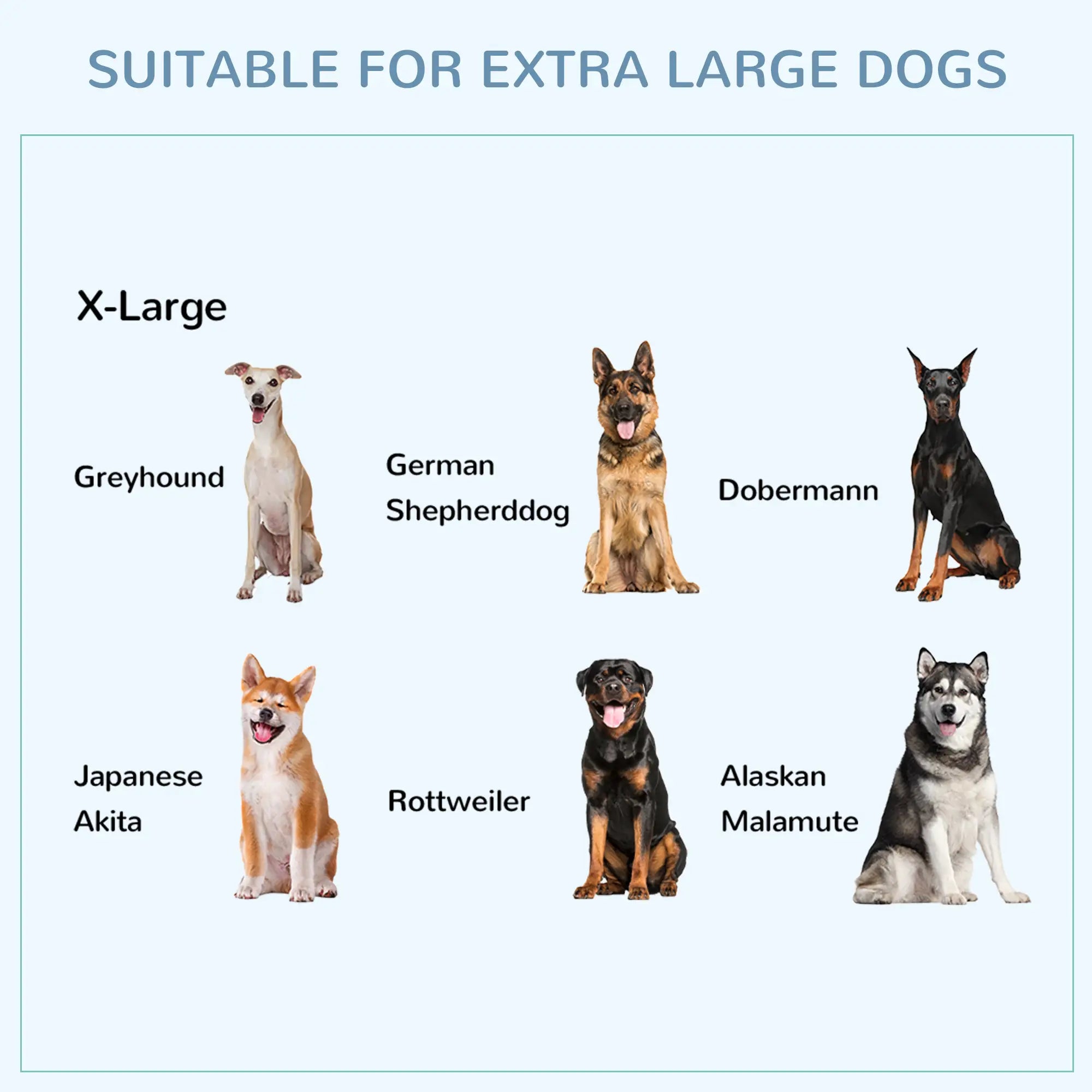 Heavy Duty Dog Crate, Large, 43