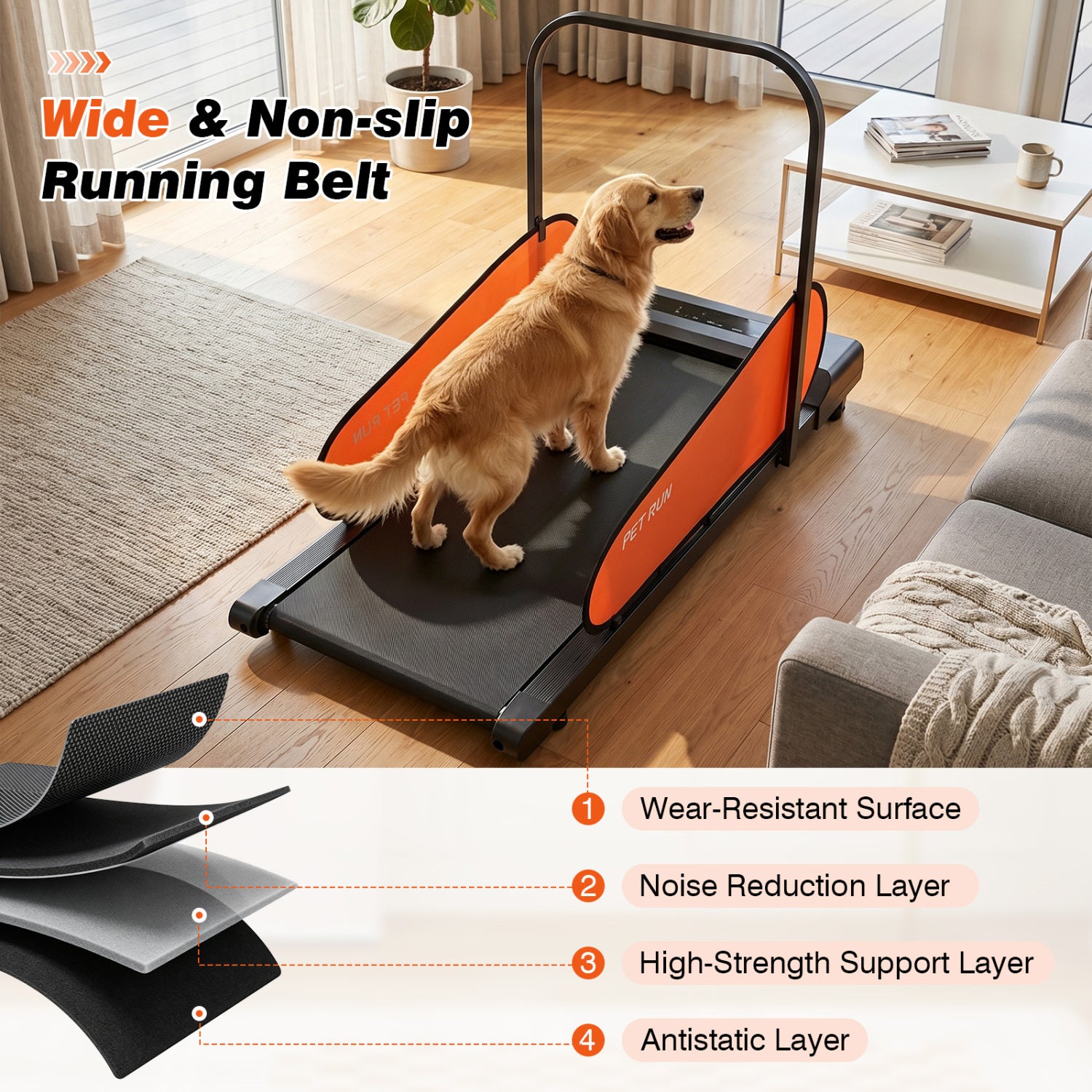 Pet Treadmill for Small & Medium Dogs with LED Display and Adjustable Speed, Black Dog Supplies at Gallery Canada