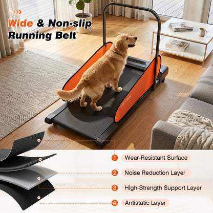 Pet Treadmill for Small & Medium Dogs with LED Display and Adjustable Speed, Black Dog Supplies at Gallery Canada