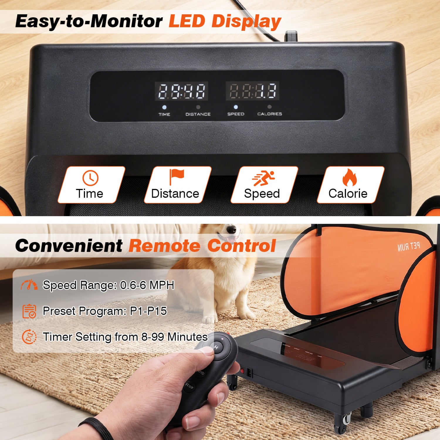 Pet Treadmill for Small & Medium Dogs with LED Display and Adjustable Speed, Black Dog Supplies at Gallery Canada
