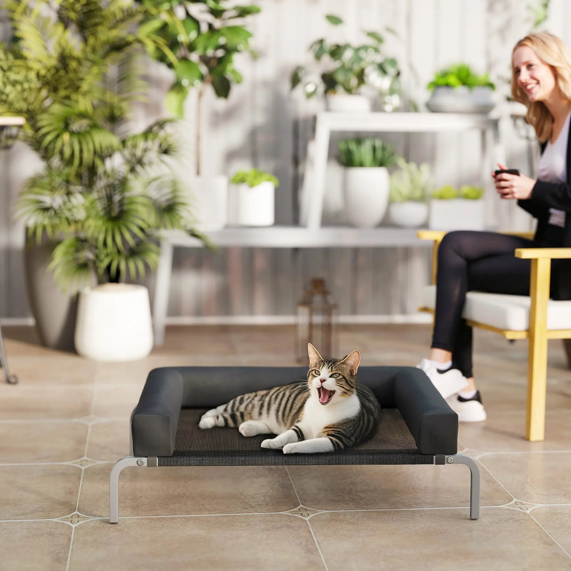 Elevated Dog Bed, Portable Raised Cot, Breathable Mesh, Water-Resistant Bolsters, Black Elevated Dog Beds at Gallery Canada