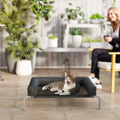 Elevated Dog Bed, Portable Raised Cot, Breathable Mesh, Water-Resistant Bolsters, Black Elevated Dog Beds at Gallery Canada