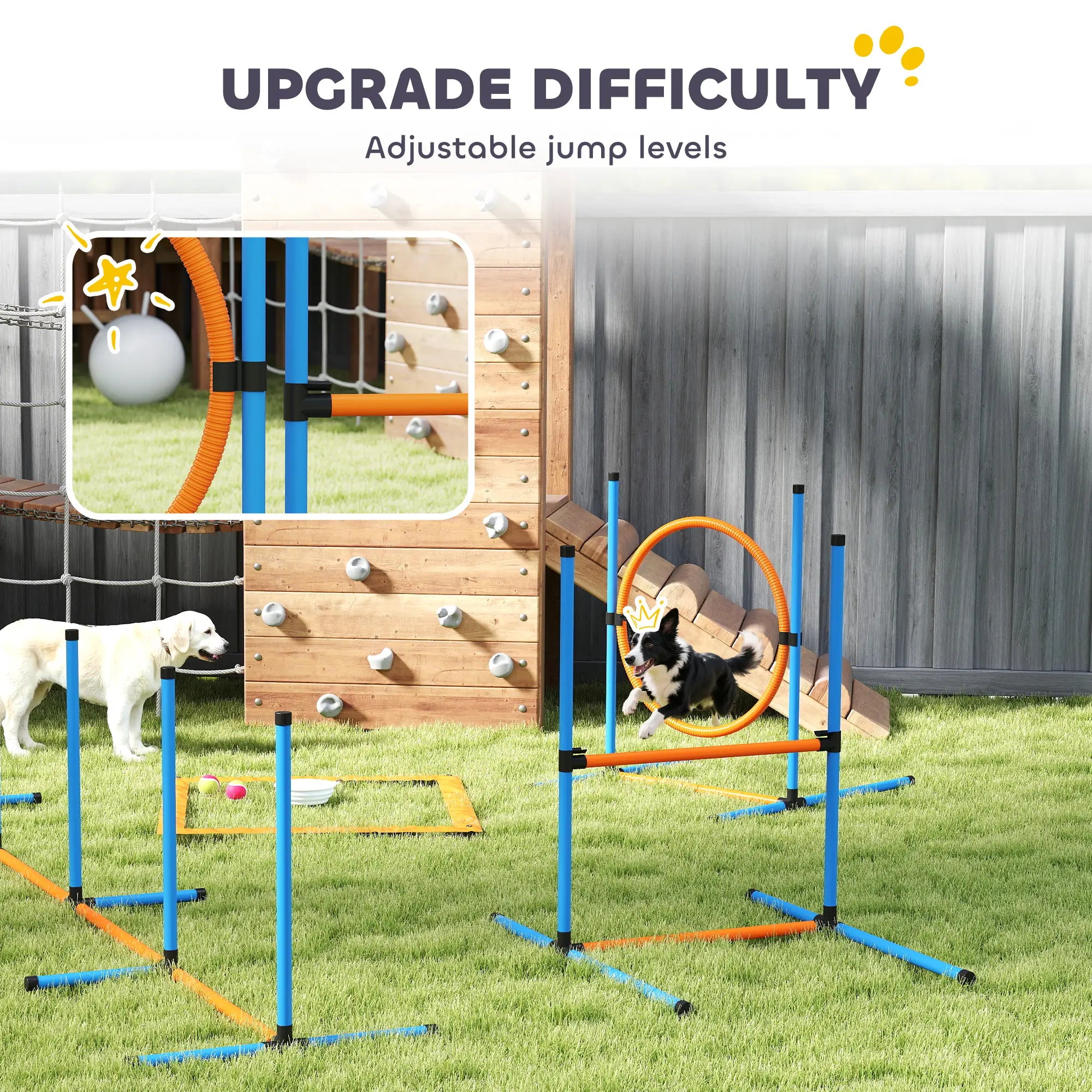 Dog Agility Training Equipment, 5PCS Obstacle Course Starter Kit With Bag Dog Agility Training Equipment at Gallery Canada