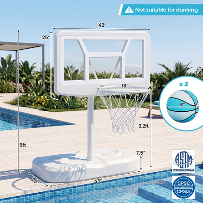 Ensemble de panier de basket pour piscine, blanc, 2 ballons et pompe