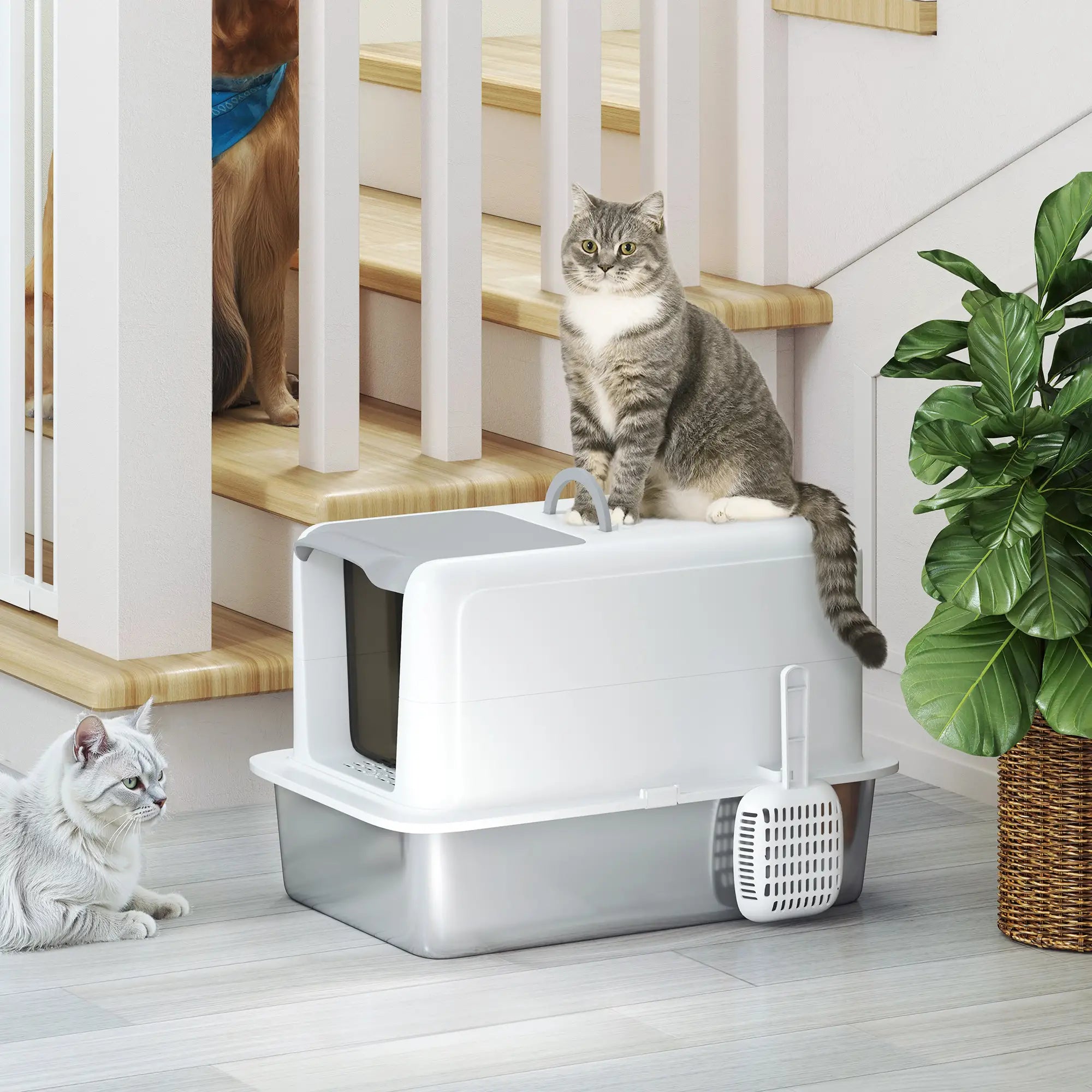 Stainless Steel Cat Litter Box, Removable Lid & Scoop, White Cat Litter Box Enclosures at Gallery Canada