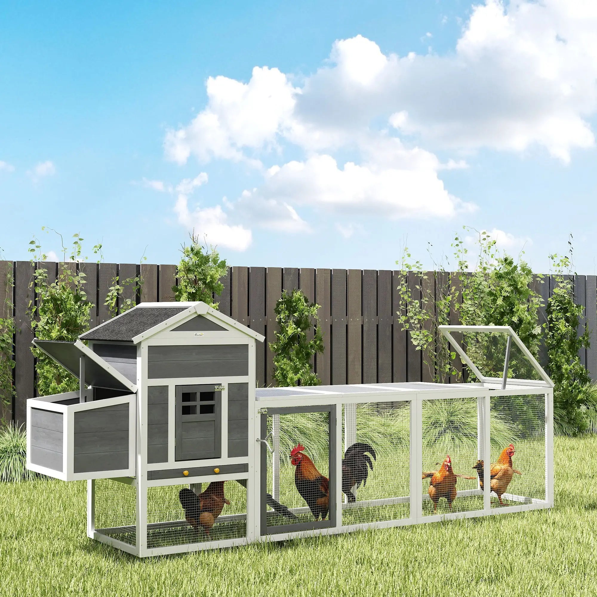Extra Large Chicken Coop, 117