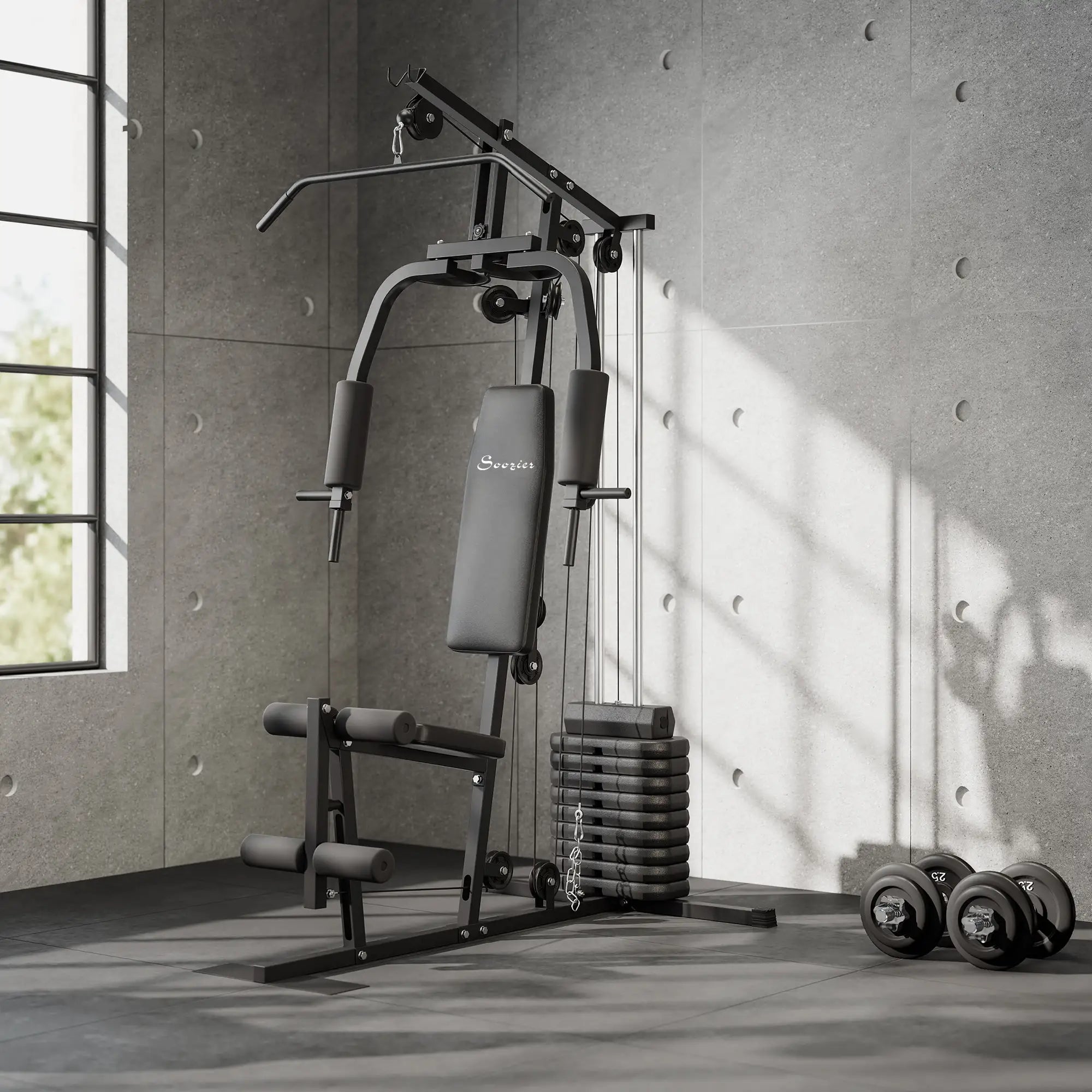 Multifunction Home Gym, 99lbs Weight Stack, Full Body Workout Power Towers at Gallery Canada