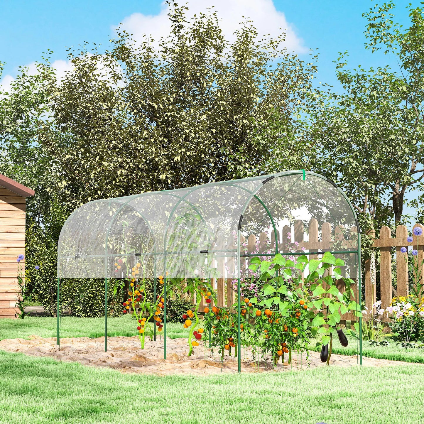 Tomato Greenhouse Tunnel, 4 Hoops, Top Tap, 157.5" x 48.4" x 67.3", Clear Tunnel Greenhouses at Gallery Canada