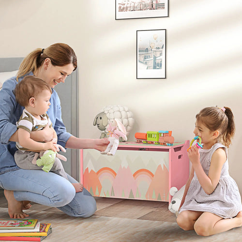 Toy Box with Lid, Storage Organizer, Safety Hinge, Pink