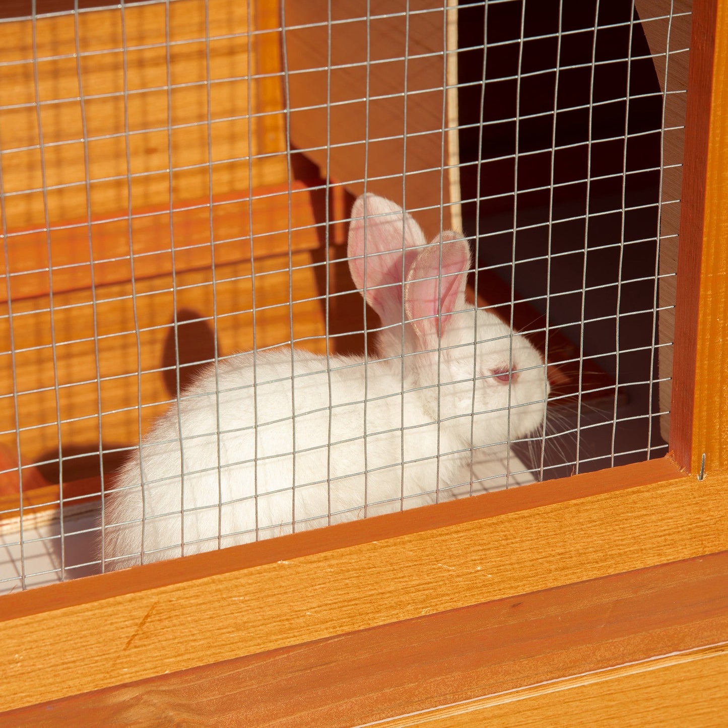 Wooden Rabbit Hutch Small Animal House Cage 2-Level w/ Run Backyard - Gallery Canada