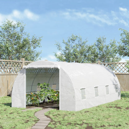 20x10x7ft Heavy Duty Walk-In Greenhouse, Outdoor Plant Grow House, White Tunnel Greenhouses at Gallery Canada
