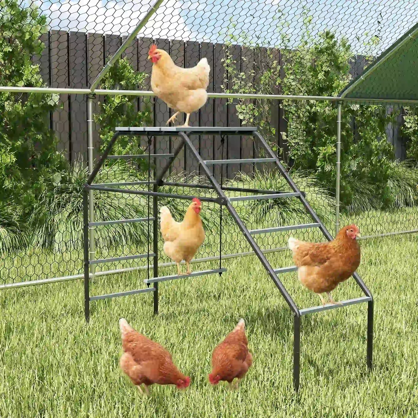 Chicken Coop Perches With Swing, Backyard Farm Accessories Chicken Coops at Gallery Canada