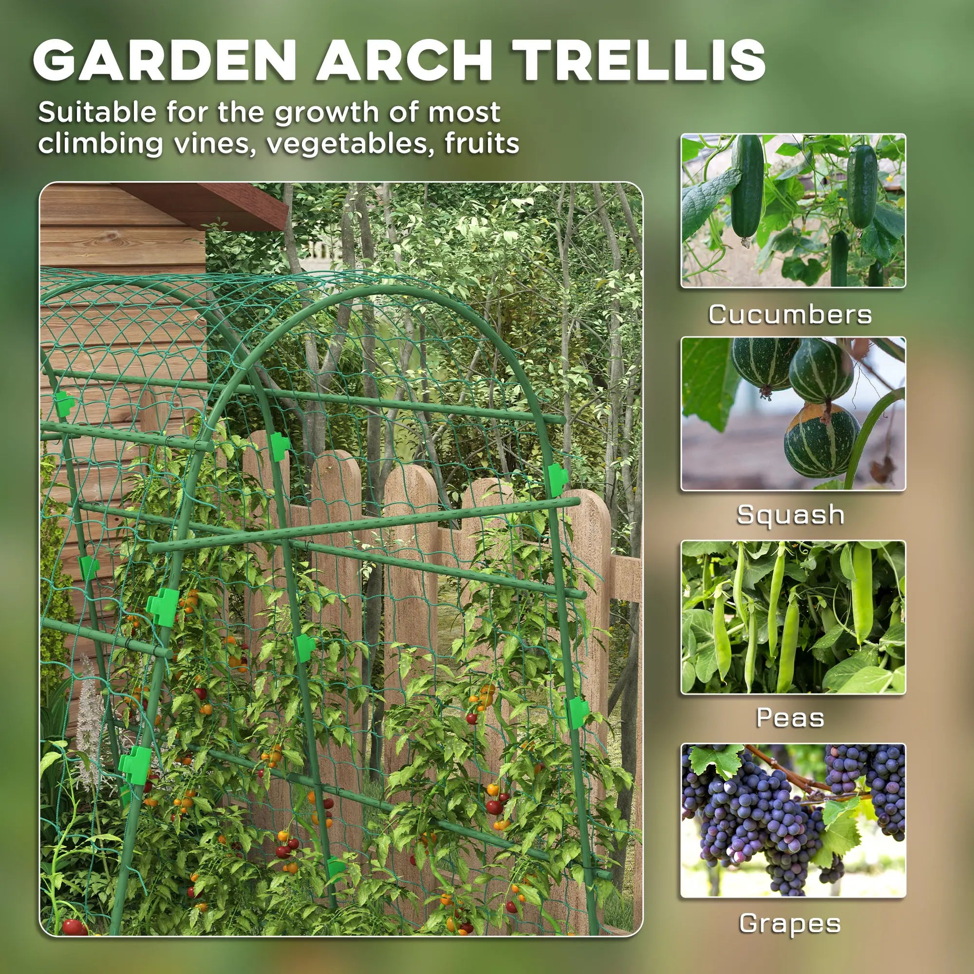Arched Garden Trellis, Metal Cucumber Plant Support, 57