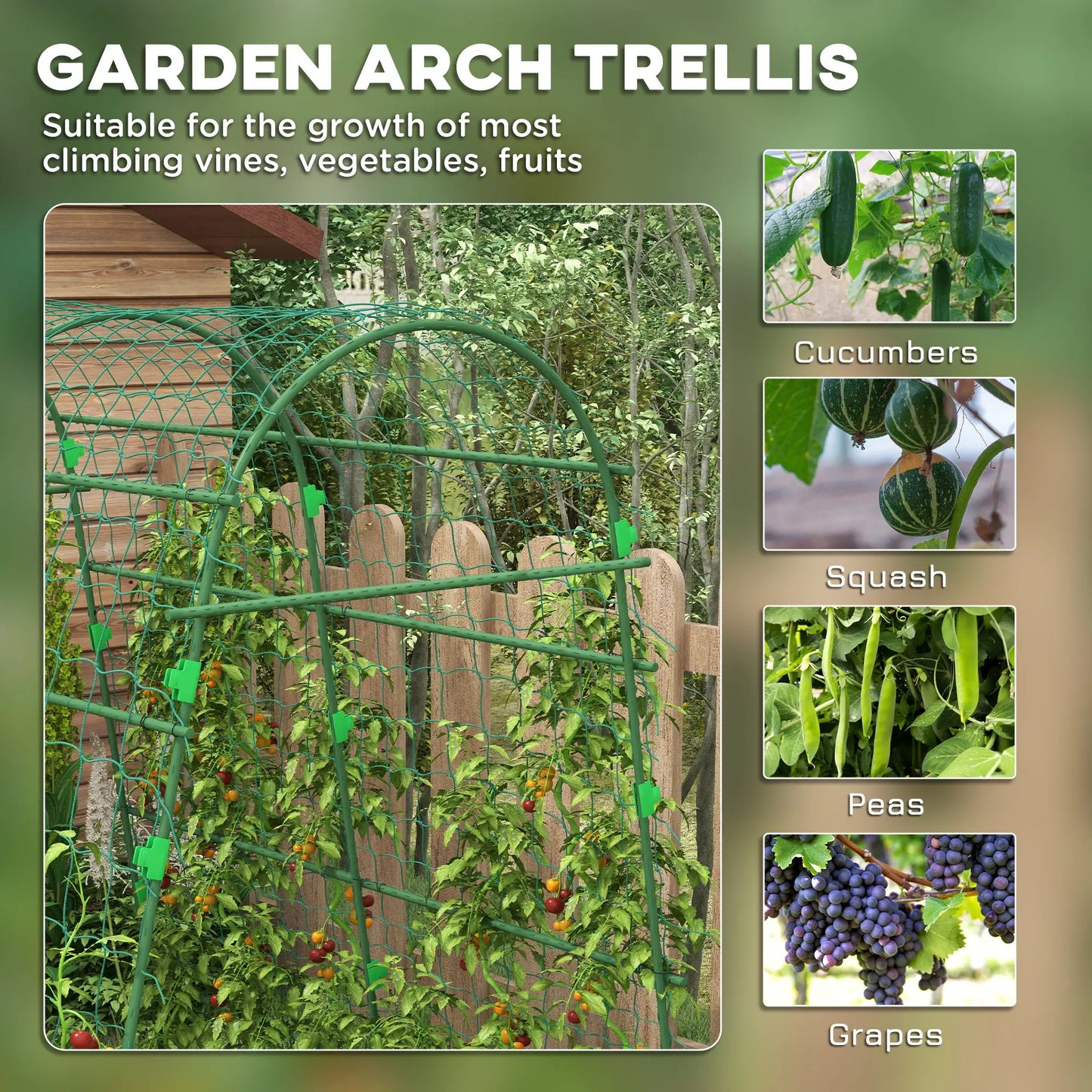 Arched Garden Trellis, Metal Cucumber Plant Support, 57" x 66" x 81" Plant Stands at Gallery Canada