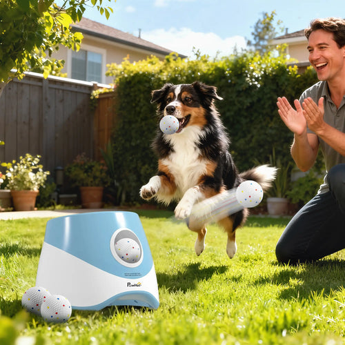Automatic Dog Ball Launcher With 5 ETPU Balls, Blue