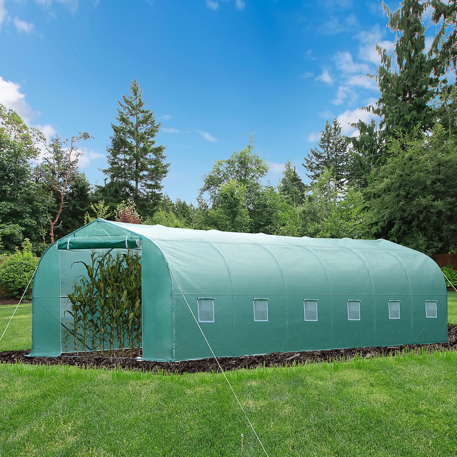 26' x 10' x 7' Walk-In Greenhouse, Garden Plant Grow Tent, Steel Frame, Green Walk In Greenhouses at Gallery Canada