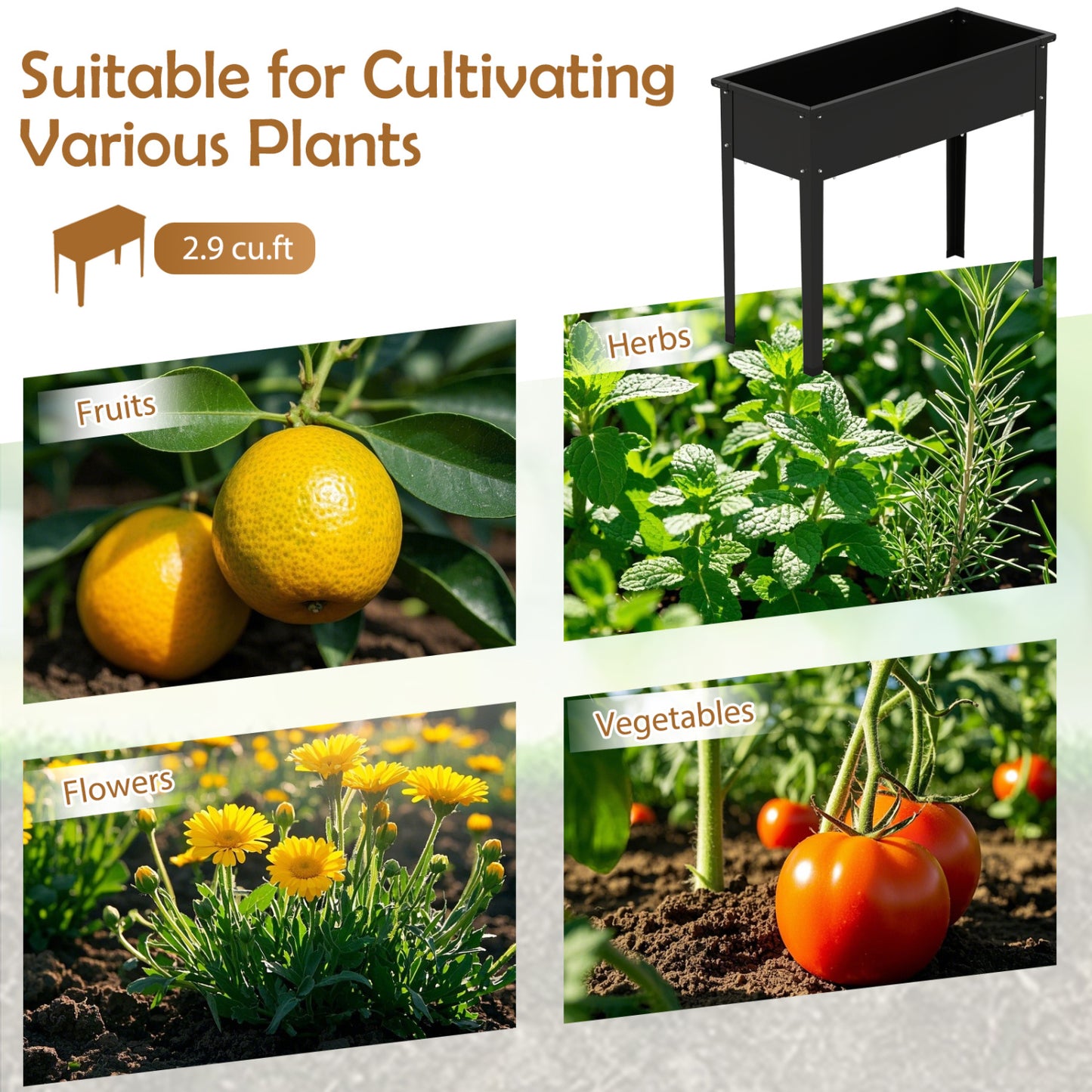 Metal Raised Garden Bed With Legs, M, Black Raised Garden Beds at Gallery Canada