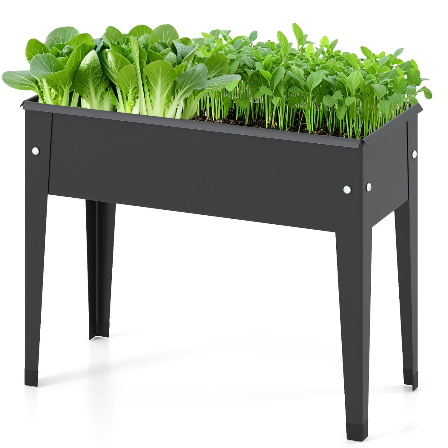 Raised Garden Bed, Elevated Metal Planter Box With Legs, S, Black Raised Garden Beds at Gallery Canada