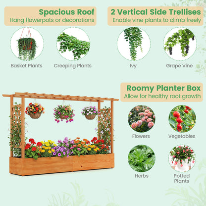 Raised Garden Bed With Side Trellis, Orange Raised Garden Beds at Gallery Canada
