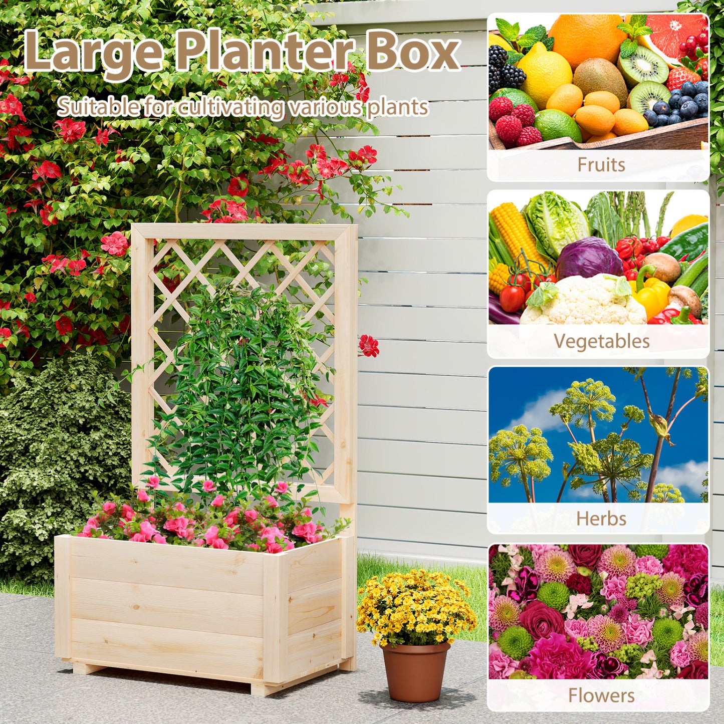 Wooden Raised Garden Bed, Elevated Planter Box With Lattice Trellis-S, Natural