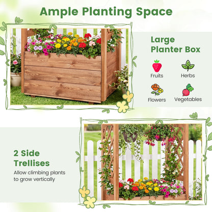 Raised Garden Bed With Lattice Trellises, Hanging Roof, Set Of 2, Orange Raised Garden Beds at Gallery Canada