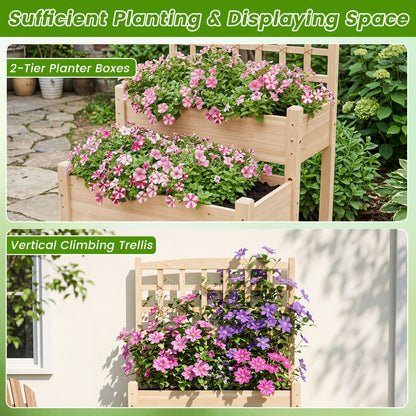 Raised Garden Bed with Trellis 2-Tier for Outdoor Climbing Plants, Natural