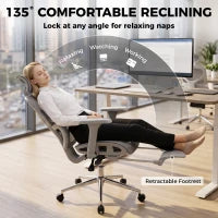 Ergonomic Office Chair, Mesh Reclining, Grey